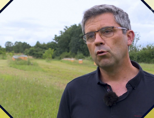 Nicolas Viacroze, responsable démarche agro-environnement – CAVAC