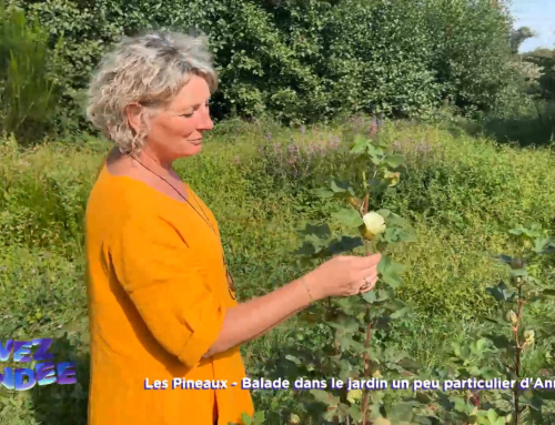 Vivez la Vendée : Balade dans le jardin un peu particulier d’Anne-Marie