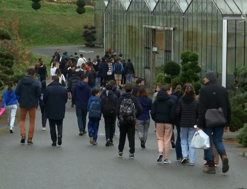 La Châtaigneraie : Des collégiens en visite dans une pépinière pour reverdire leurs cours