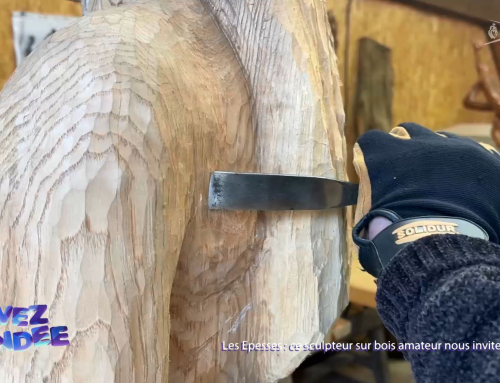Vivez la Vendée : Ce sculpteur sur bois amateur nous invite au voyage