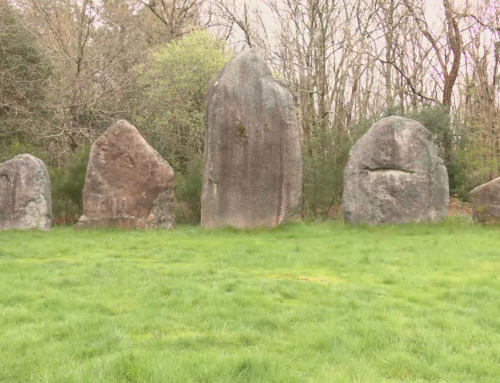 Avrillé : La plus grande concentration de menhirs du Grand-Ouest est en Sud-Vendée