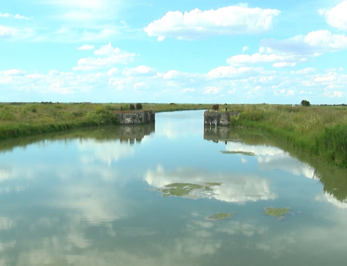 Marais poitevin : Bientôt la fin d’un chantier de 15 ans pour le renforcement des digues