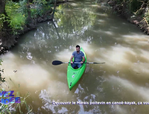 Vivez la Vendée : Découvrir le Marais poitevin en canoë-kayak, ça vous tente ?