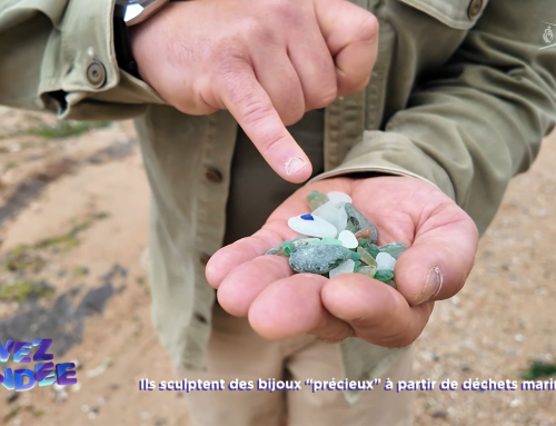 Vivez la Vendée : Ils sculptent des bijoux à partir de déchets marins locaux