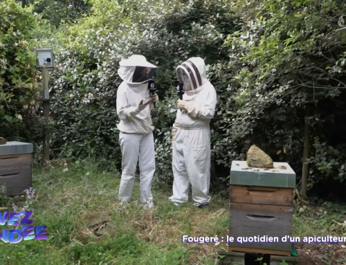 Vivez la Vendée : Dans le quotidien d’un apiculteur en 2024