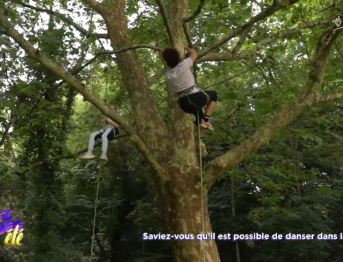 Vivez la Vendée : Saviez-vous qu’il est possible de danser dans les arbres ?