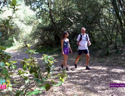 Tongs ou baskets ? Marche régénérante avec Sabê’O Coaching