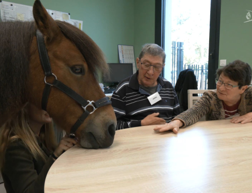 Les Sables d’Olonne : De la médiaiton animale pour adoucir les effets des troubles cognitifs