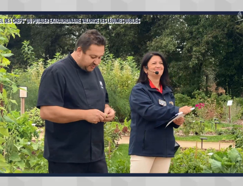 Le + de l’info : Le « Tunnel des chefs » valorise les légumes anciens et oubliés