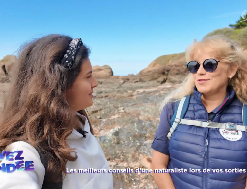 Vivez la Vendée : Les meilleurs conseils d’une naturaliste pour vos sorties océan