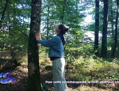 Vivez la Vendée : Pour cette sylvothérapeute, la forêt peut tous nous guérir