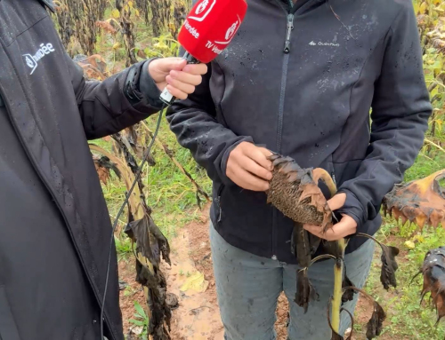 Chantonnay : L’approche de la dépression Kirk suivie de près par les agriculteurs