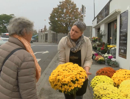 La Garnache/Saint-Laurent-sur-Sèvre : La Toussaint et ses tendances chez nos fleuristes