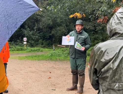 Forêt de Grasla : l’ONF lève le voile sur tous ses métiers de la forêt