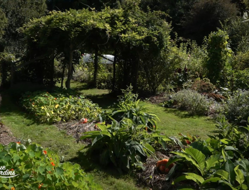 Bienvenue aux jardins – Maison de la Vie Rurale CPIE Sèvre et Bocage