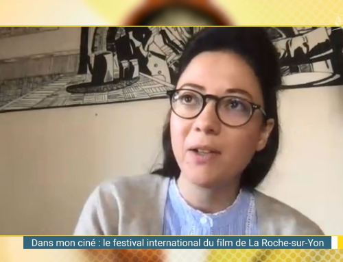 Dans mon ciné : le festival international du film de La Roche-sur-Yon