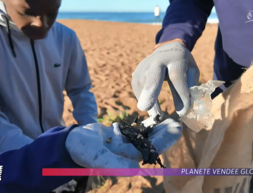 Le skipper Paul Meilhat et l’association Surfrider sensibilisent les plus jeunes au ramassage des déchets