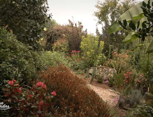 Bienvenue aux jardins : Jardin d’Hélène