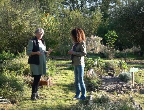 Bienvenue aux jardins – Les Fées des Herbes