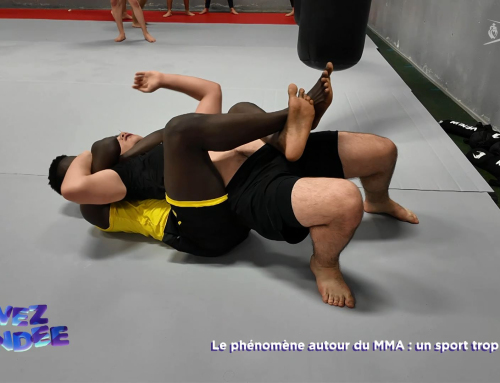 Vivez la Vendée : Le phénomène autour du MMA : un sport trop violent ?