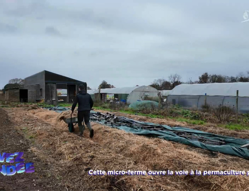 Vivez la Vendée : Cette micro-ferme ouvre la voie à la permaculture pour tous