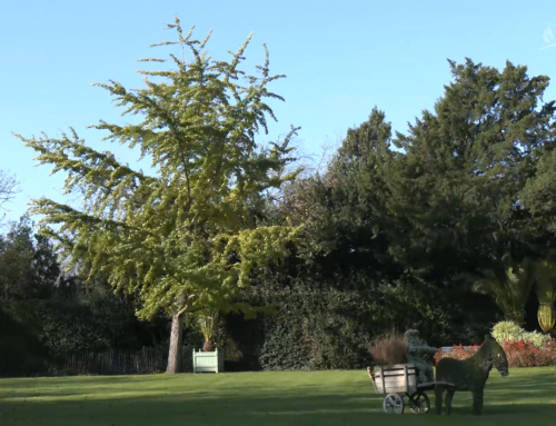 Luçon Opération Parcs en automne : le Jardin Dumaine participe à la 1re édition