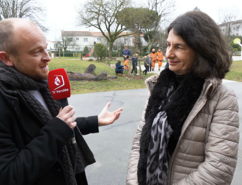 La Roche-sur-Yon. Le retour du végétal dans « au moins une cour d’école yonnaise par an »