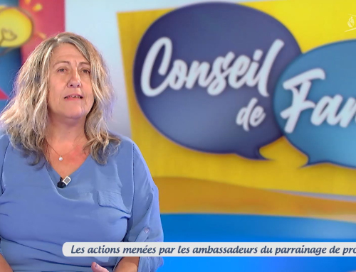 Conseil de famille – Les actions menées par les ambassadeurs du parrainage de proximité