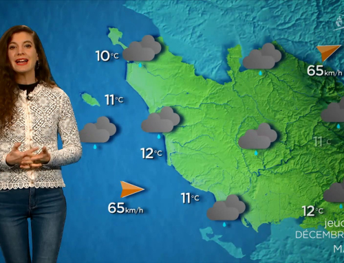 La météo du 19 décembre 2024