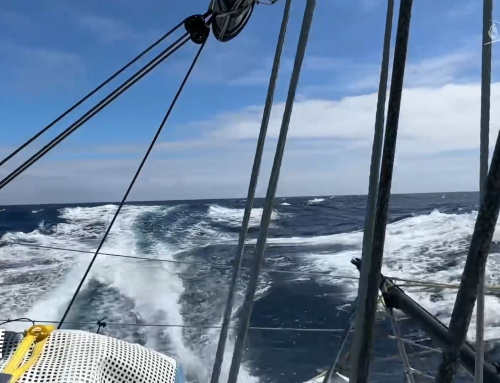 Le Journal Du Vendée Globe du Vendredi 27 Décembre : Duel au sommet entre Richomme et Dalin !