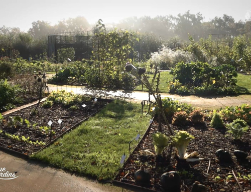 Bienvenue aux jardins – Potager extraordinaire