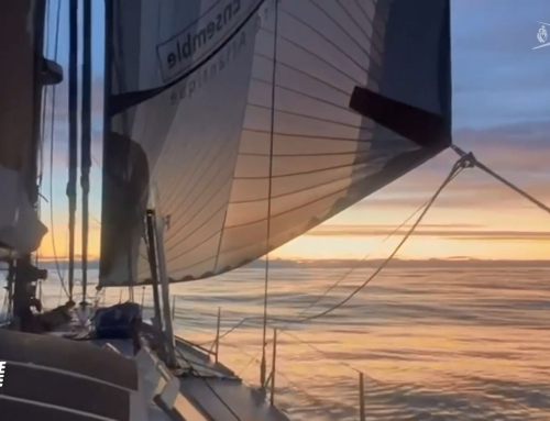 L’Hebdo Du Vendée Globe du Lundi 23 au Vendredi 27 Décembre : Duel historique au Cap Horn !