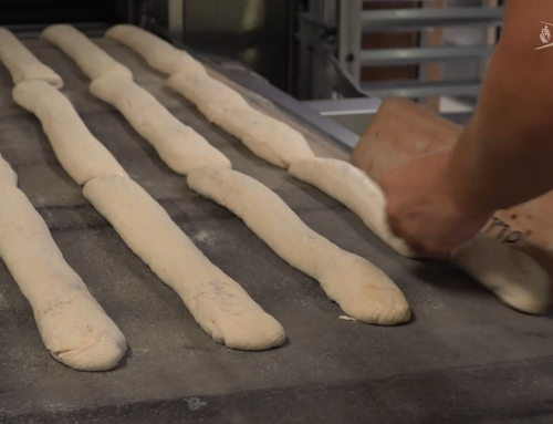 L’Instant Éco-Responsable : Les Boulangeries « Tartine et Gourmandise » lancent leur transition écologique avec la CCI Vendée