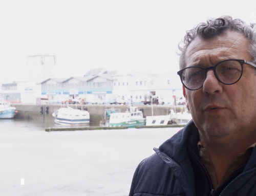 Saint-Gilles-Croix-de-Vie. Un quart des bateaux gillocruciens interdits de pêche pendant un mois