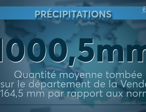 Rétro : Ce qu’il faut retenir de la météo de 2024 en Vendée