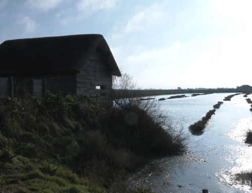 La Barre-de-Monts : Les musées du nord-ouest Vendée se structurent