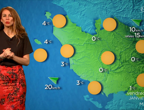 La météo du 17 janvier 2025