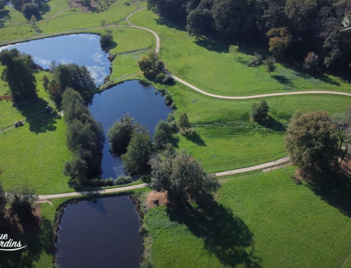 Bienvenue aux jardins – Parc du château de Beaupuy